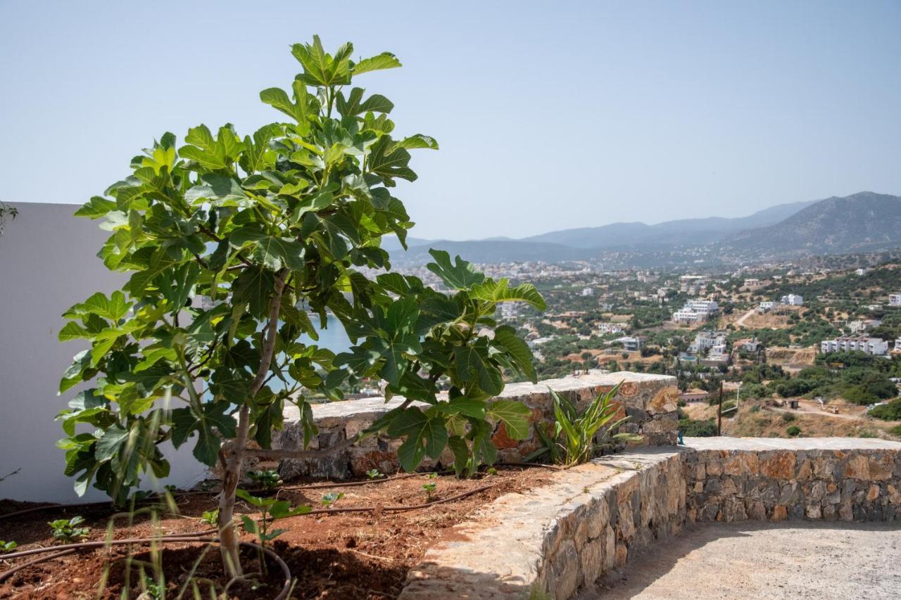 Miracle View Villas Ájosz Nikólaosz Kültér fotó